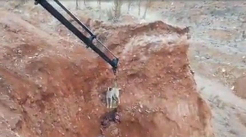 Maden İş&ccedil;ileri &Ccedil;ukurda Mahsur Kalan K&ouml;peği Kurtardı