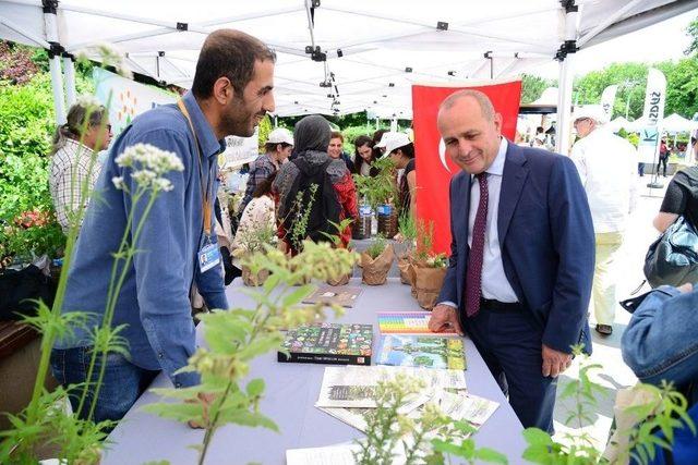 Kadıköy Çevre Festivali Başlıyor