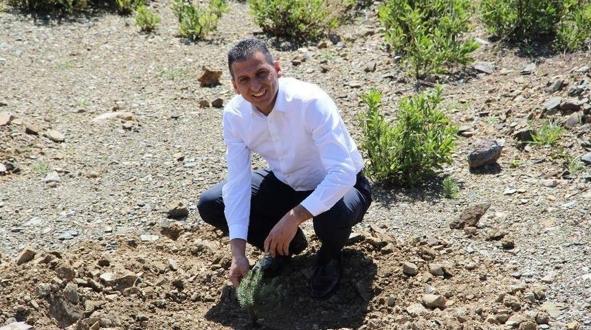 Avukatlar Yaşanabilir Bir &Ccedil;evre İ&ccedil;in Fidan Dikti