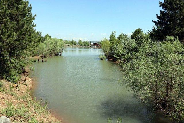 Sağanak Yağış Baraj Ve Göletleri Doldurdu