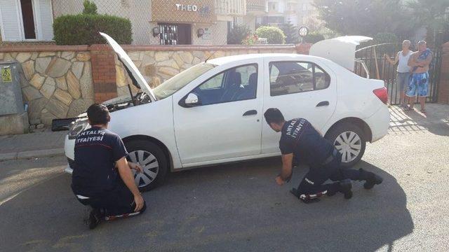 Alanya&rsquo;da Yılan Paniği 2