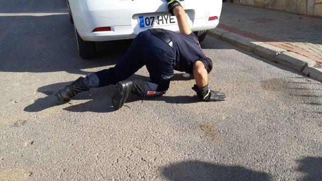 Alanya&rsquo;da Yılan Paniği 3