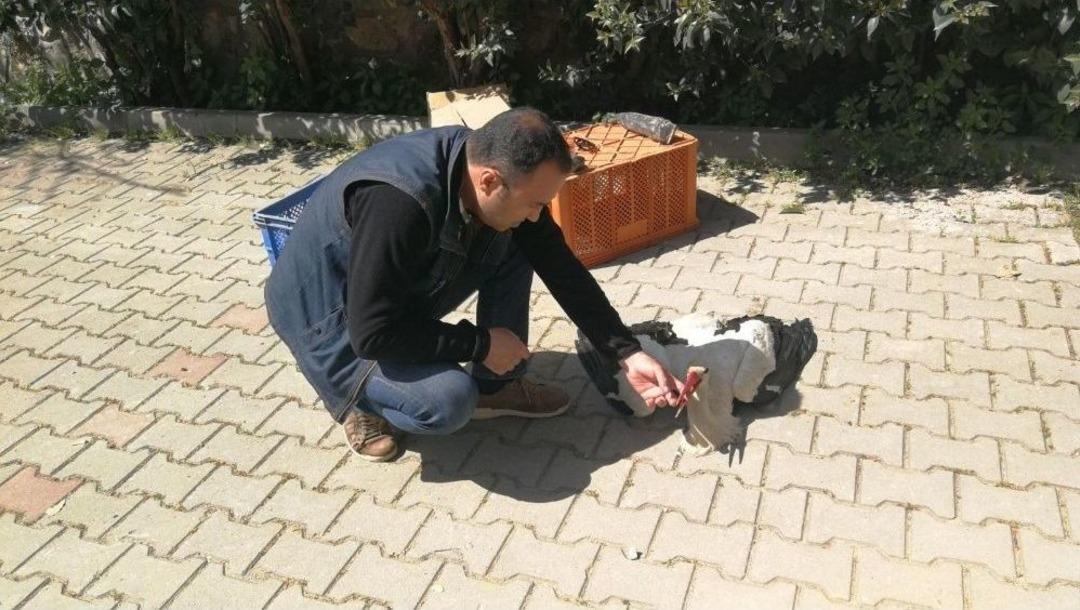 G&ouml;&ccedil; Yolunda Talihsiz Kaza