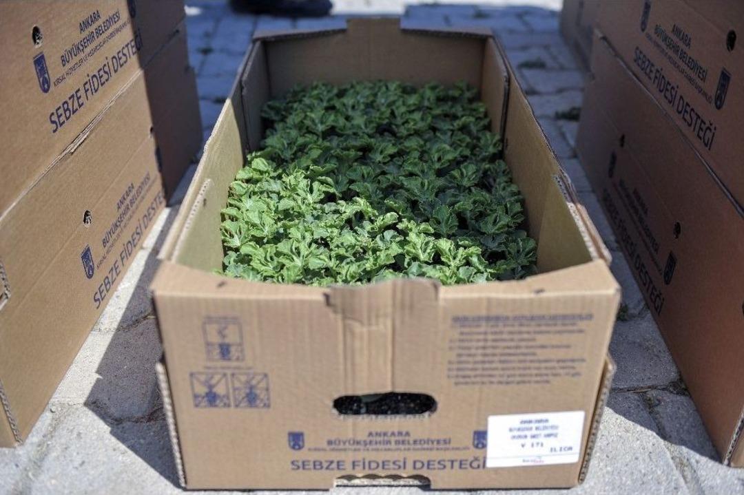 &Ccedil;ift&ccedil;iye Destek &Uuml;lkeye Destek