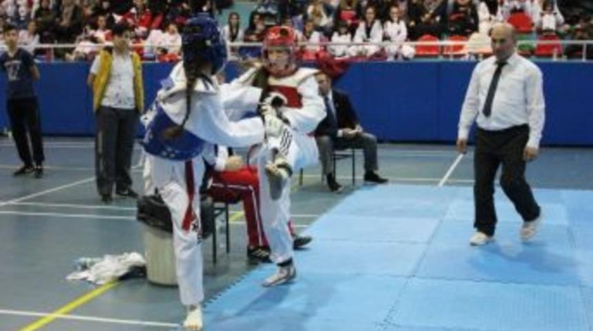 Osmangazili Taekwondoculardan 4 Madalya