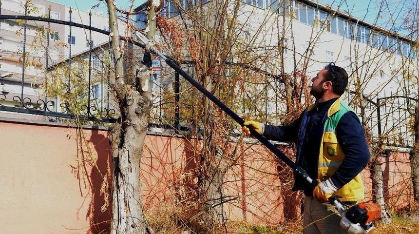 Ağa&ccedil; Budama &Ccedil;alışmaları S&uuml;r&uuml;yor