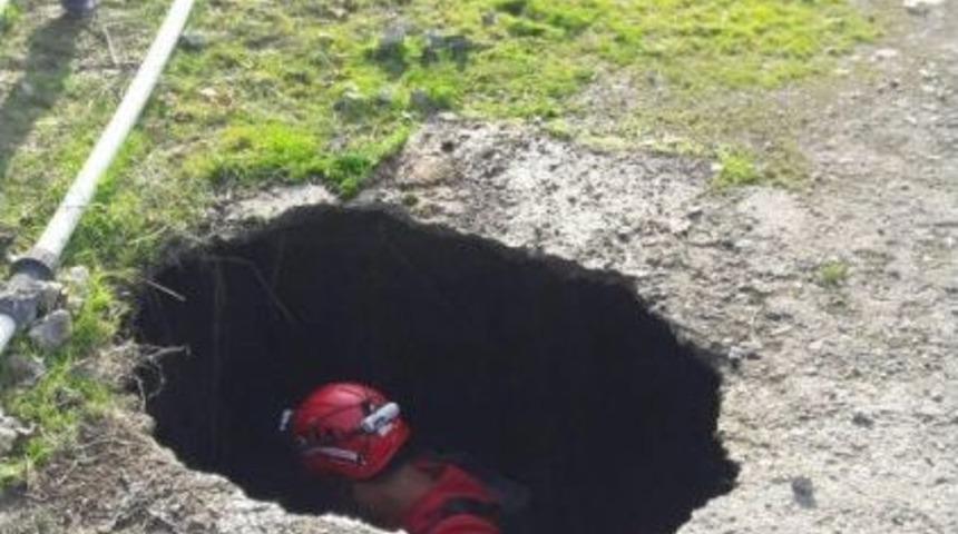 Su Kuyusuna D&uuml;şen K&ouml;peği İtfaiye Kurtardı