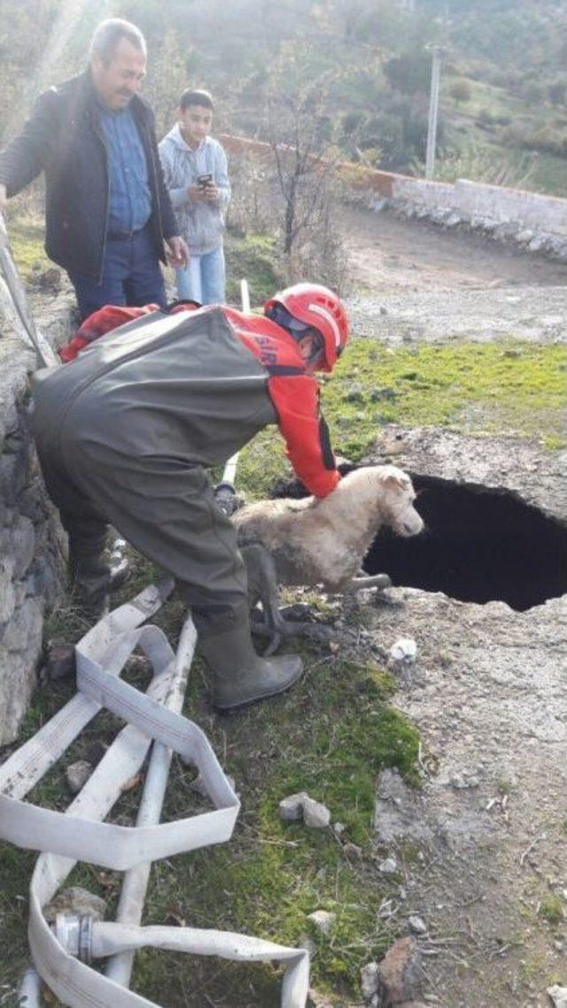 Su Kuyusuna Düşen Köpeği İtfaiye Kurtardı