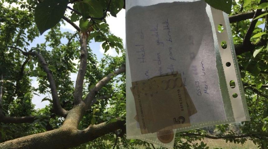 Bah&ccedil;eden Erik Yiyen Jandarma Para Ve Not Bıraktı