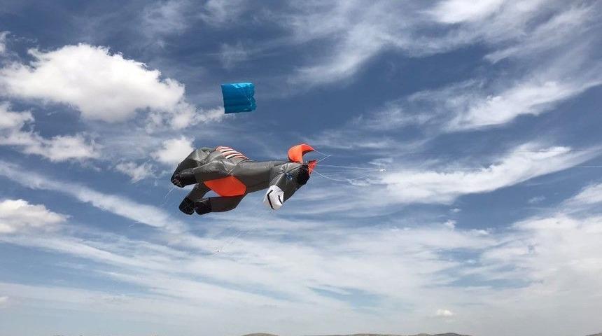 3 Boyutlu Eşek Mardin Semalarını Renklendirecek