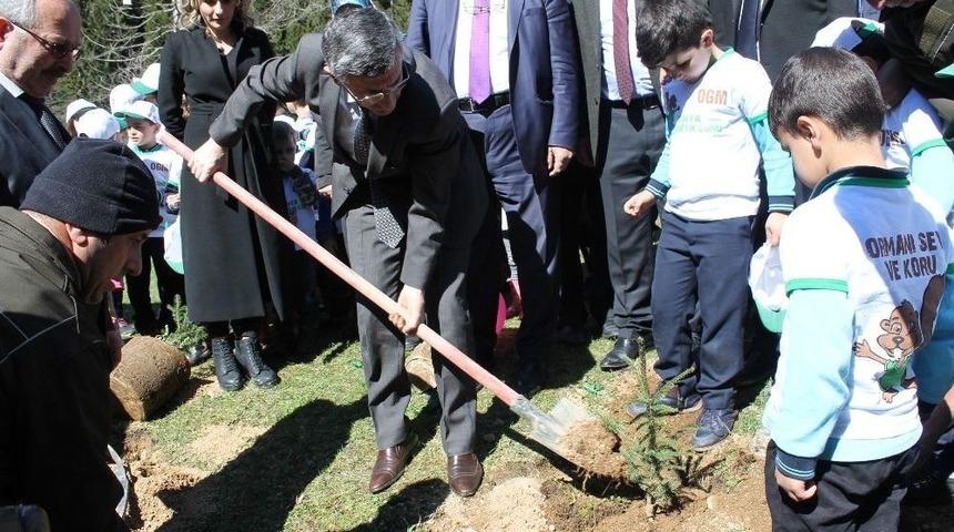 Rize&rsquo;de Afrin Kahramanları İ&ccedil;in Hatıra Ormanı