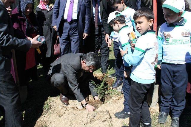 Rize’de Afrin Kahramanları İçin Hatıra Ormanı