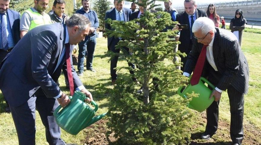 Başkan Ay Fidan Dikti