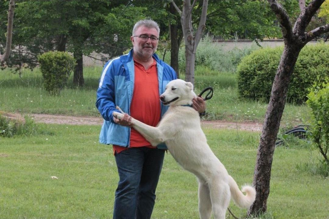 Eskişehir&rsquo;in Değeriydi Amerikalılar Keşfetti