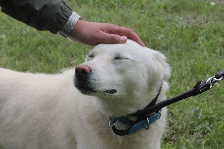 Eskişehir’in Değeriydi Amerikalılar Keşfetti G3