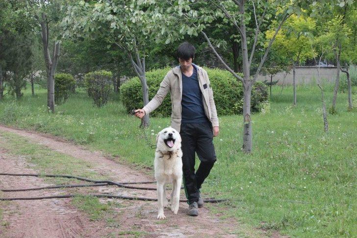 Eskişehir’in Değeriydi Amerikalılar Keşfetti G4