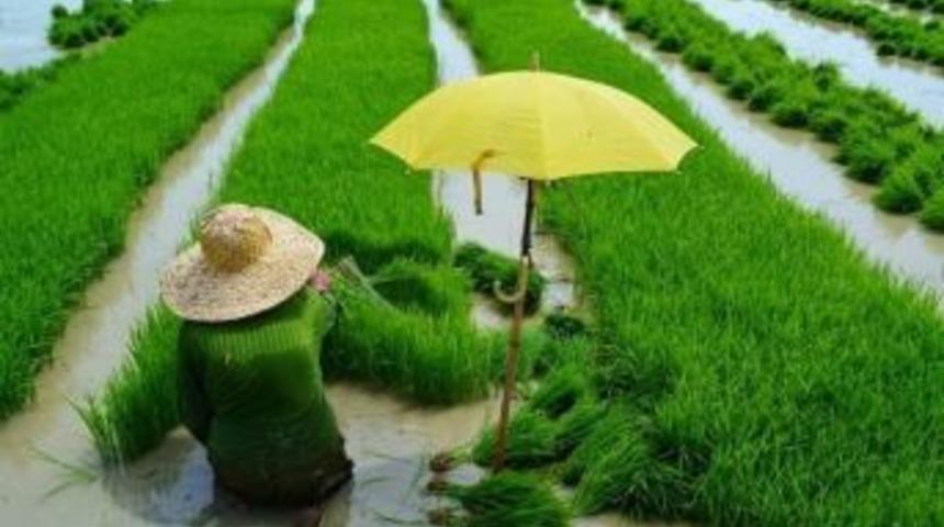 Fao Gıda Fiyat Endeksi Ardı Ardına İkinci Ayda Y&uuml;kseldi