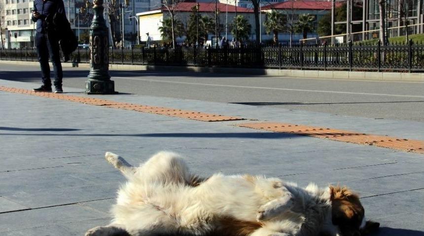 Samsun’da Yazdan Kalma Bir Gün