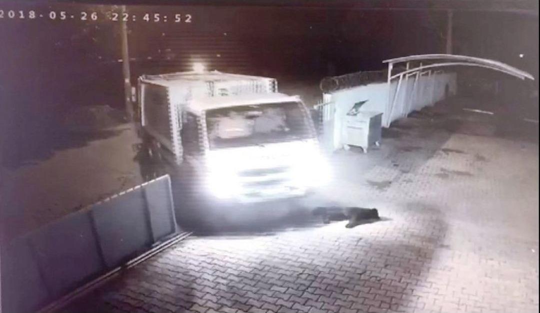 Başkan &Ouml;zakcan, K&ouml;peği Ezen Personeli İşten &Ccedil;ıkartarak Su&ccedil; Duyurusunda Bulundu