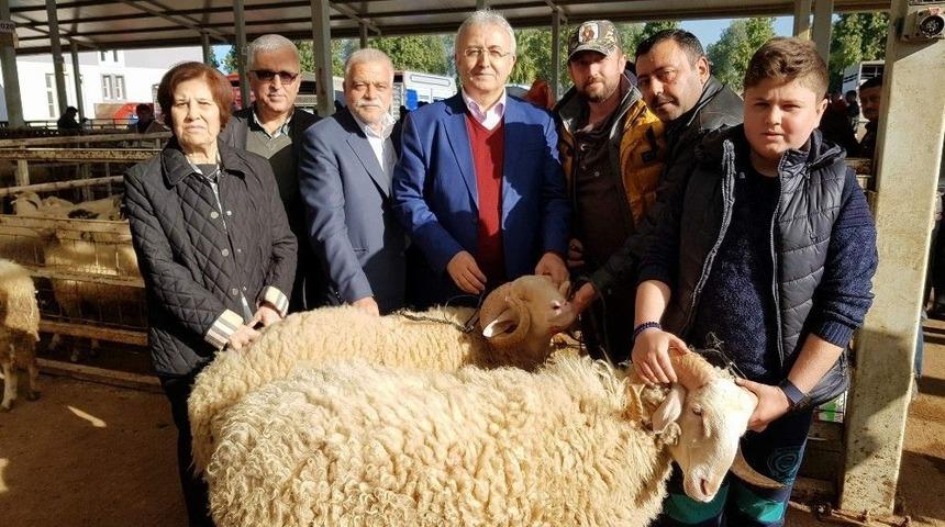 Borsanın Desteği İle Nazilli&rsquo;de Hayvancılık 10 Kat Arttı