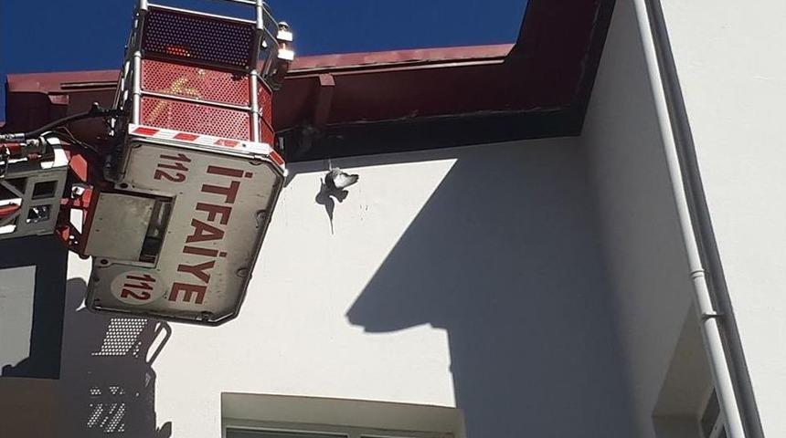 &Ccedil;atı Katında İpe Takılan G&uuml;vercini İtfaiye Kurtardı