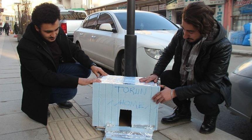Atık Malzemelerle, Sokak Hayvanlarına "ev" Yaptılar