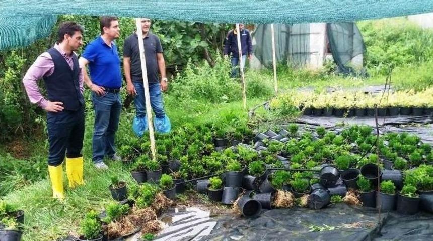 Yalova&rsquo;da Hasar Tespit &Ccedil;alışmaları Başladı