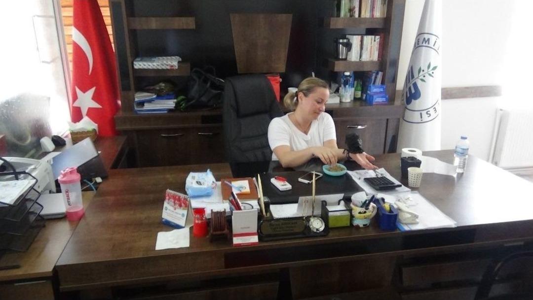 Makamında Karga Besliyor