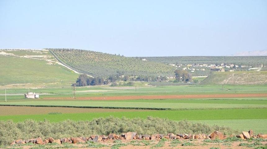 Hatay&rsquo;a "zeytin Dalı Sınır Kapısı"