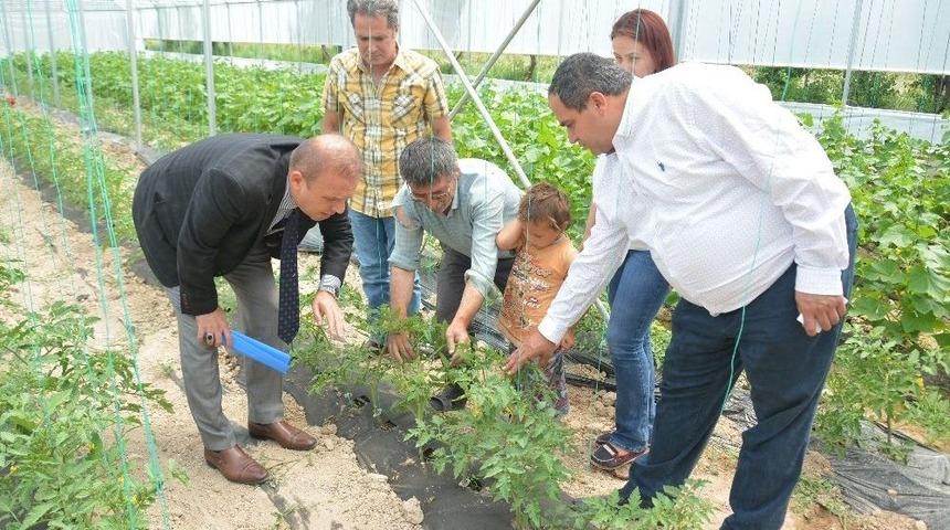 Aksaray&rsquo;da Seracılık Hızla Gelişiyor