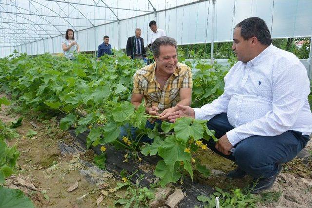 Aksaray’da Seracılık Hızla Gelişiyor