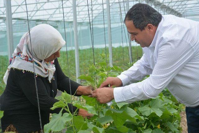 Aksaray’da Seracılık Hızla Gelişiyor