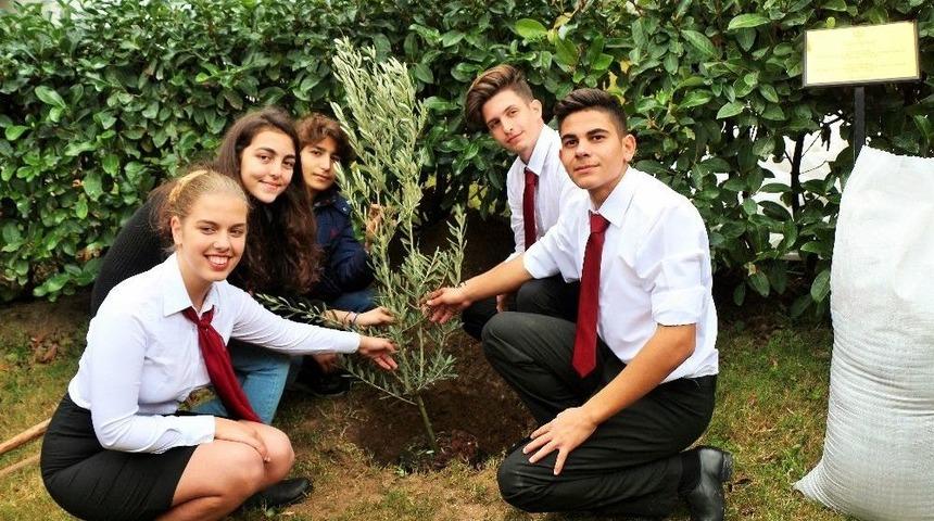 Zeytinlerin &Ccedil;ekirdeğinden Tablo Yaptılar