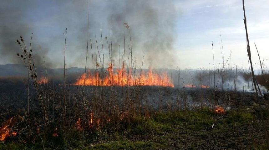 İznik G&ouml;l&uuml; Kıyısındaki Sazlıklar Alev Alev Yandı