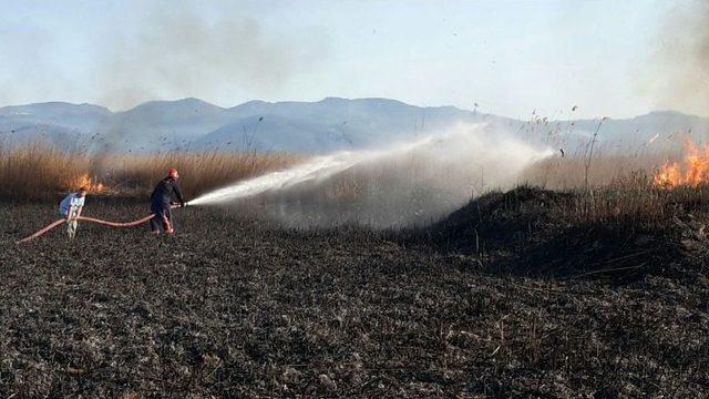 İznik G&ouml;l&uuml; Kıyısındaki Sazlıklar Alev Alev Yandı 1