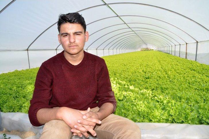 Gölete Çevirdiği Serada Maruldan Servet Kazanıyor G2