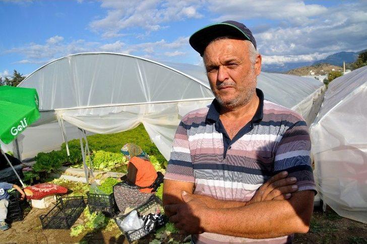 Gölete Çevirdiği Serada Maruldan Servet Kazanıyor G3