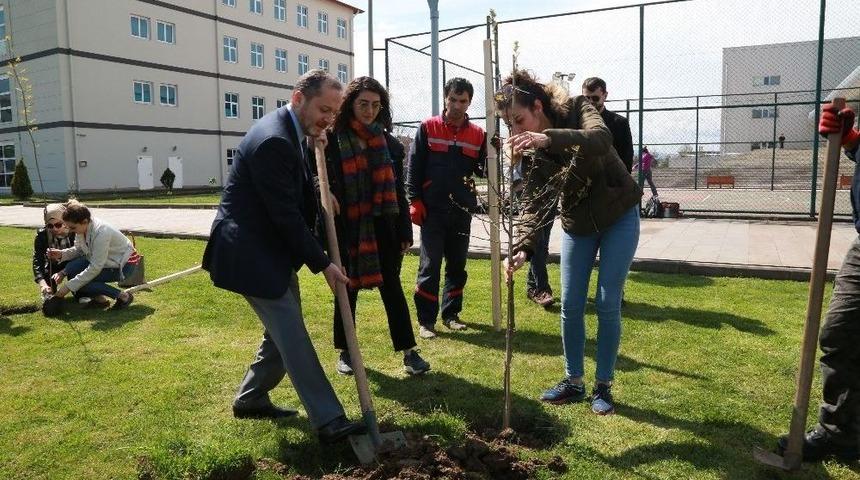 Od&uuml; Kamp&uuml;s&uuml; Yeşillendi
