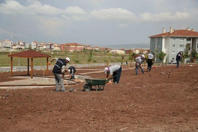 Bu Park Elektriğini Kendi Üretecek