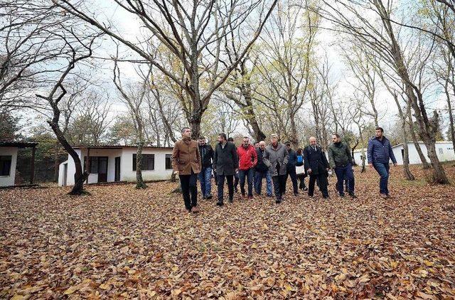 Kumcağız Orman Kampı Bu Yaza Hazır