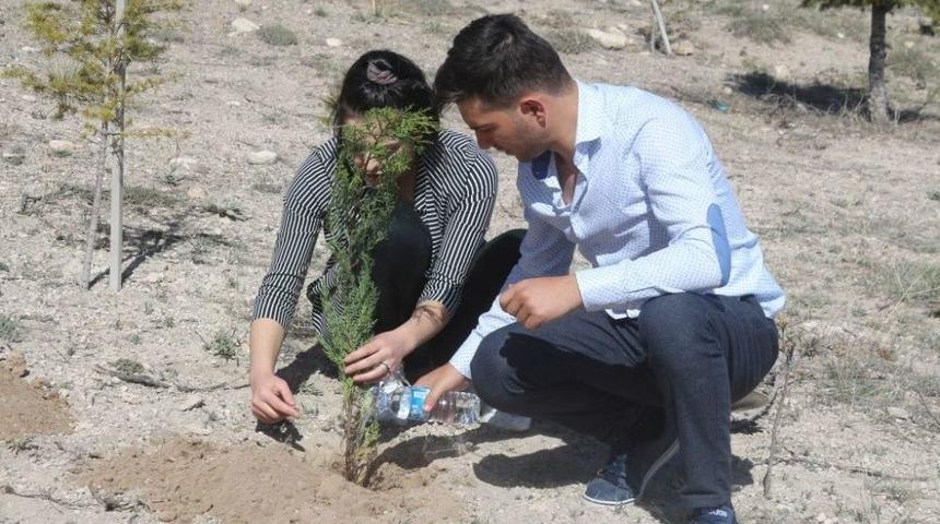 Evlenen Çiftler ‘aile Ağacı’ Dikiyor