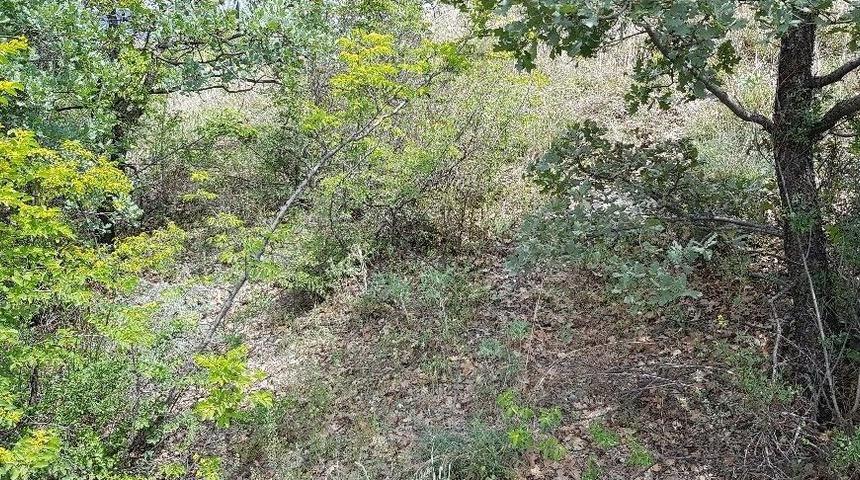 Kastamonu&rsquo;da 8 Ka&ccedil;ak Define Avcısı Su&ccedil;&uuml;st&uuml; Yakalandı