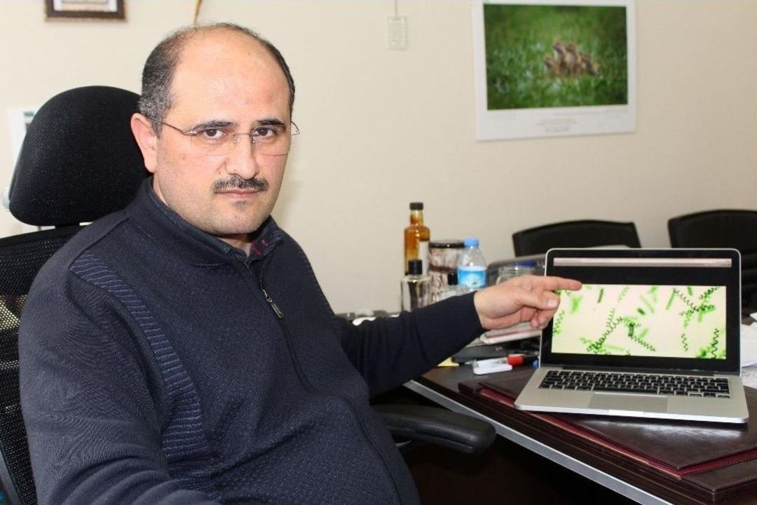 Van G&ouml;l&uuml; &lsquo;asrın S&uuml;per Gıdası&rsquo; İ&ccedil;in İdeal