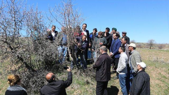 Talas&rsquo;ta &Ccedil;ift&ccedil;ilere Aşılama Eğitimi 2