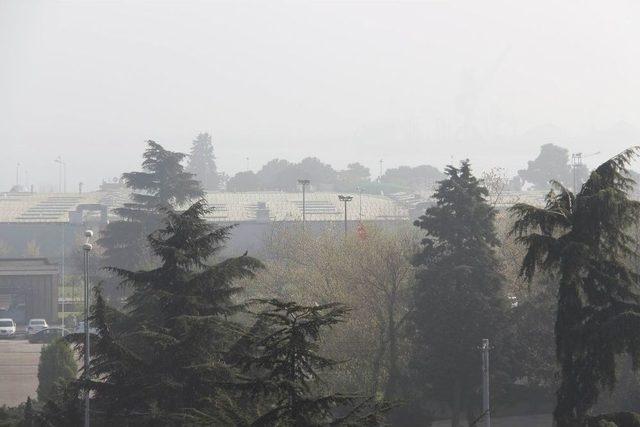 Samsun Güne Yoğun Sisle Uyandı