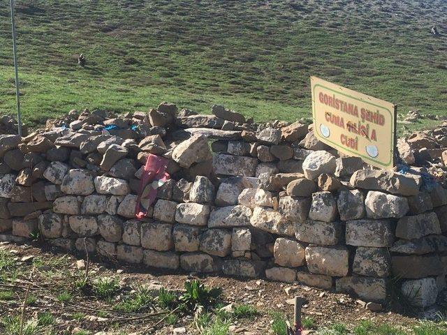 Türbeyi Terör Mezarlığına Çeviren Pkk’ya Ağır Darbe