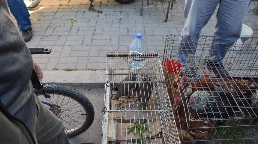 Keklikleri Pazarda Satmaya Kalkınca Cezayı Yedi