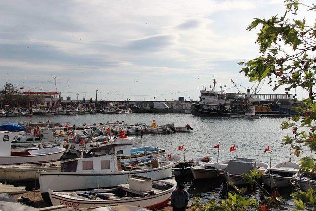 Yağmur Sonrası Güneşi Gören Vatandaşlar Kendini Dışarı Attı