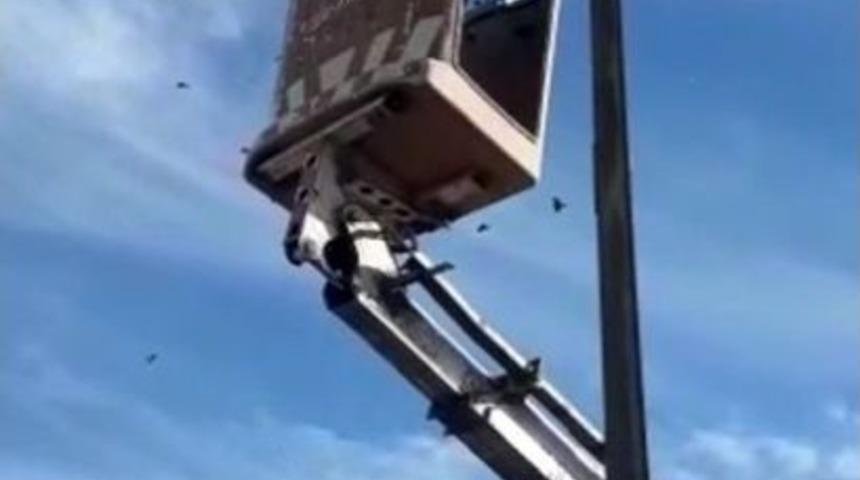 İkinci Ramazan Vakası Yaşanmaması İ&ccedil;in Elektrik Teline Takılan Kargayı Aras Edaş Ekipleri Kurtardı