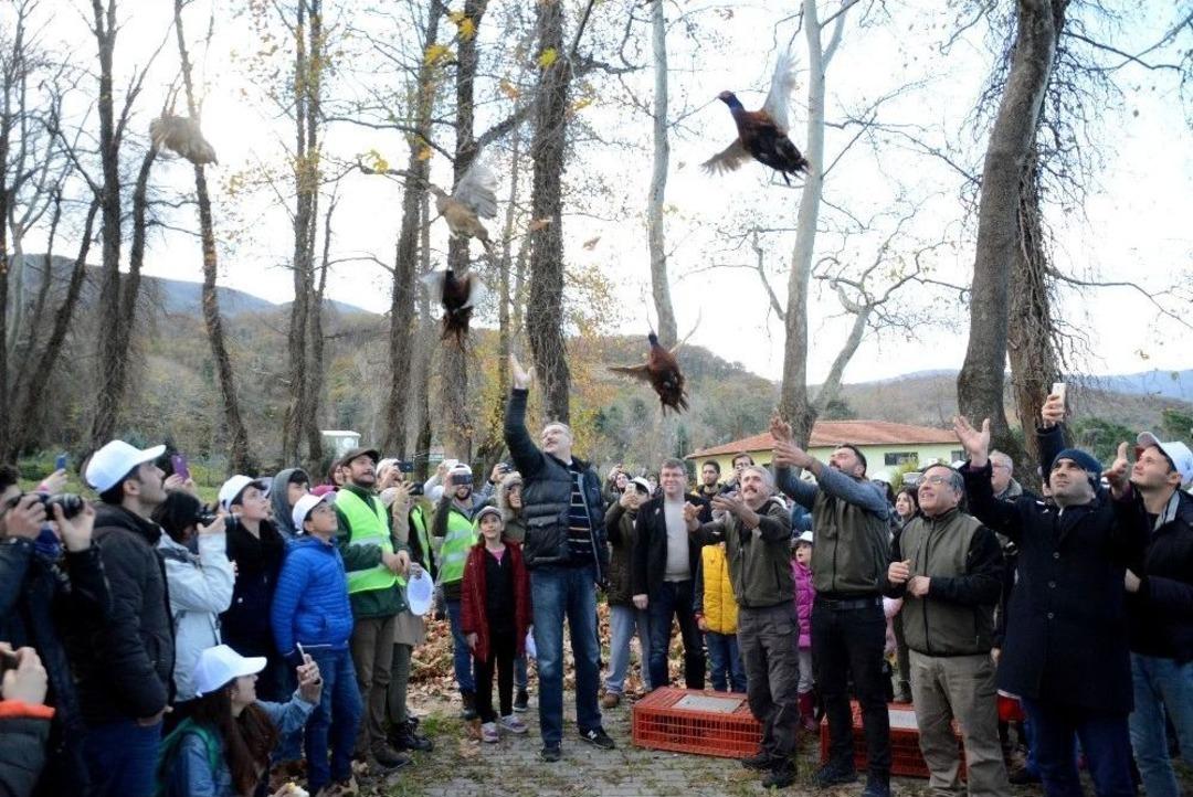 Karacabey Longozda Anlamlı &Ccedil;&ouml;p Toplama Etkinliği